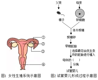 月经推迟