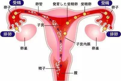月经推迟